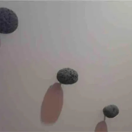 Domus Romae Esquilini * Roma